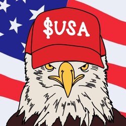 American Coin (USA) logo