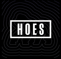 ApeChainHOES (HOES) logo