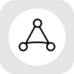 AppLovin Tokenized Stock (Reality) (RAPP) logo