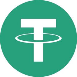 Areum Bridged USDT (Areum Network) (USDT) logo