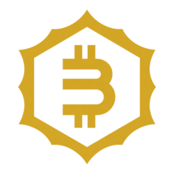 b-money (B-MONEY) logo