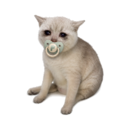 Baby Cash Cat (BABYCASHCAT) logo