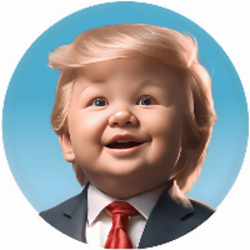Baby Trump (BSC) (BABYTRUMP) logo