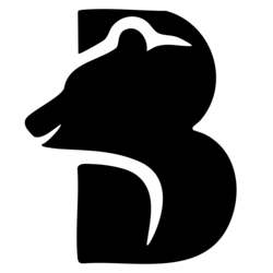 BAIRAI (BAIR) logo