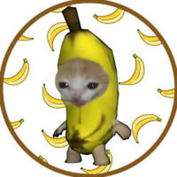 BananaCat (BCAT) logo