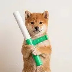 baton (BATON) logo