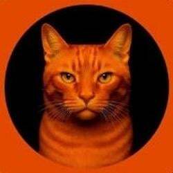 BILLI (BILLI) logo