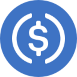 Binance Bridged USDC (BNB Smart Chain) (USDC) logo