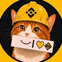 Binance Cat (BNBCAT) logo