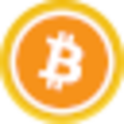 Binance Wrapped BTC (BBTC) logo