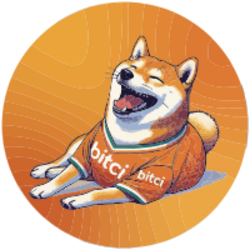 Bitci Bonk (BBK) logo