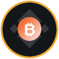 BitMine Immersion Technologies (bStocks Tokenized Stock) (BMNRB) logo