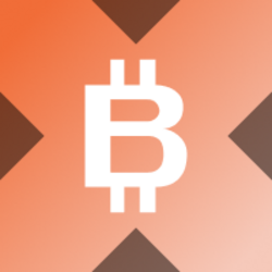 Bitmine xStock (BMNRX) logo