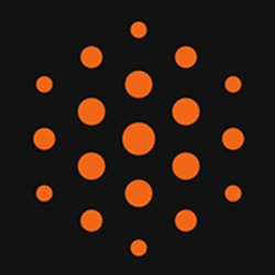 BitRunes (BRUNE) logo