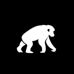 BlackPool (BPT) logo