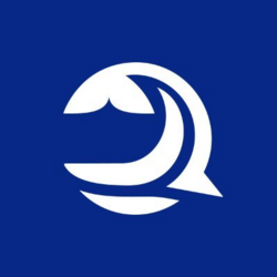 Bluwhale (BLUAI) logo
