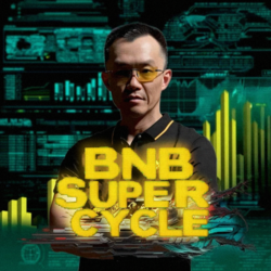 BNB SUPER CYCLE (BSC) logo