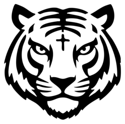 BNB Tiger OG (BNBTIGEROG) logo