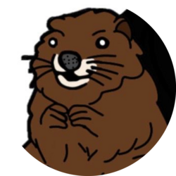 BOBER (BOBER) logo