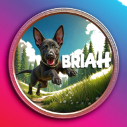 BRIAH (BRIAH) logo