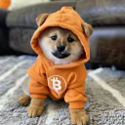Bridged DOG•GO•TO•THE•MOON (Merlin Chain) (DOG•GO•TO•THE•MOON) logo