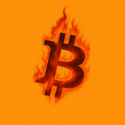 Burncoin (BURN) logo