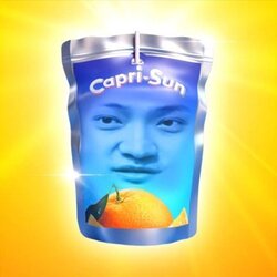 Caprisun (CSUN) logo