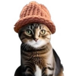 catwifhat ($CWIF) logo
