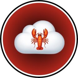 ClawCloudX (CLOUDX) logo