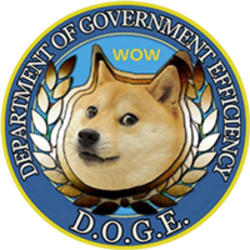 Department Of Government Efficiency (DOGE) logo