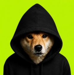 Dog In Hood (DIH) logo