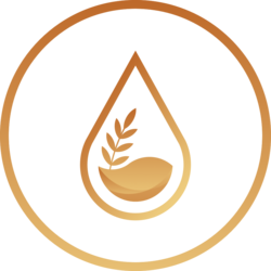 ENKI Protocol (ENKI) logo
