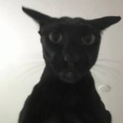 Evil Larry (LARRY) logo
