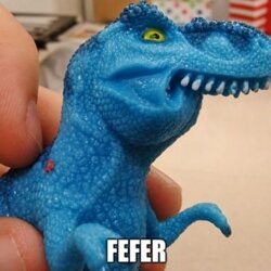 FEFER (FEFER) logo