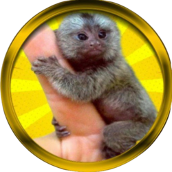 Finger Monkey (FM) logo