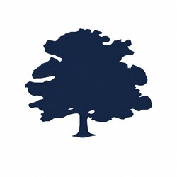 Forest Road USDfr (USDFR) logo