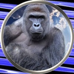 Harambe on Solana (HARAMBE) logo