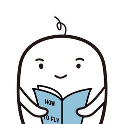 HOW TO FLY (PUFF) logo
