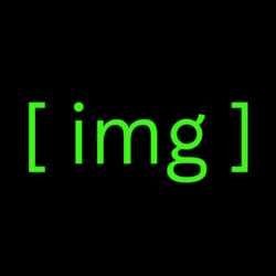 Infinite Money Glitch (IMG) logo