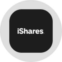 iShares Bitcoin Trust (Ondo Tokenized) (IBITON) logo