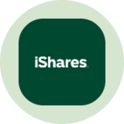 iShares Investment Grade Systematic Bond ETF (Ondo Tokenized) (IGEBON) logo