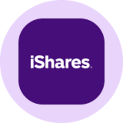 iShares Russell 2000 ETF (Ondo Tokenized ETF) (IWMON) logo