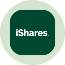 iShares TIPS Bond ETF (Ondo Tokenized ETF) (TIPON) logo