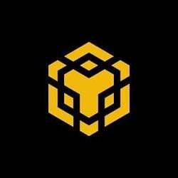 just buy 1bnb (1BNB) logo