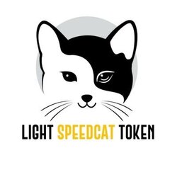 Light Speed Cat (LSCAT) logo