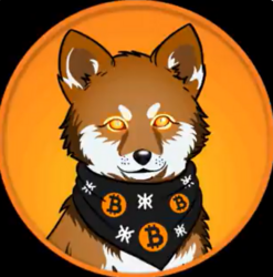 LOBO•THE•WOLF•PUP (LOBO) logo