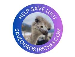 Lulu the Ostrich (LULU) logo