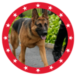 MAGA DOG (ATLAS) logo