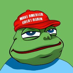 MAGA PEPE (ETH) (MAGAPEPE) logo