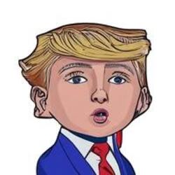 Mini Donald (BARRON) logo